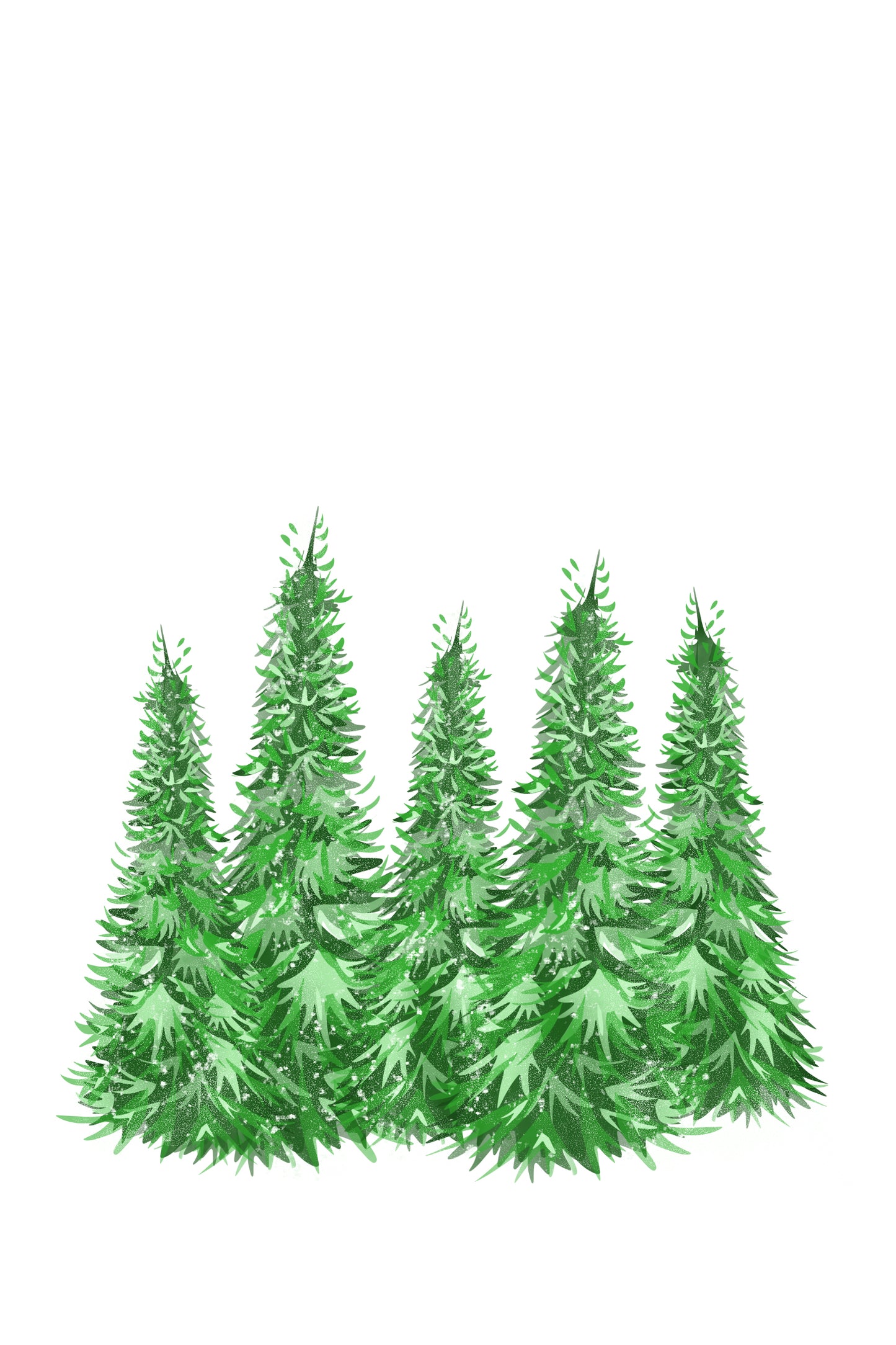 Evergreen, 2024